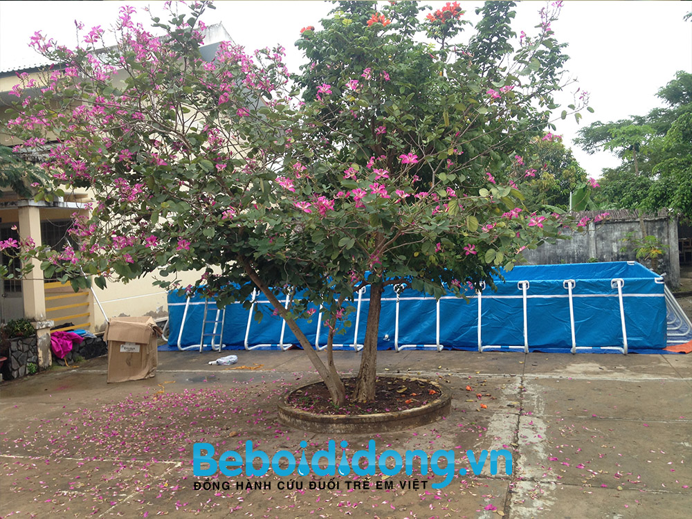 be-boi-truong-hoc (7)