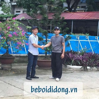 sản xuất hồ bơi di động