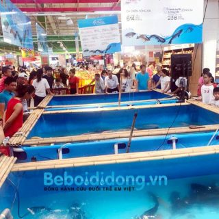 beboinuoica